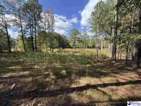 tbd Sherrill Rd, Wallace, SC 29596 photo 10