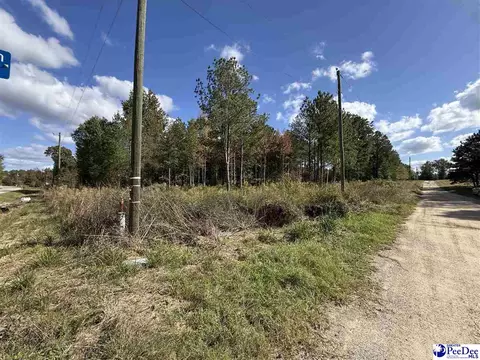 tbd Sherrill Rd, Wallace, SC 29596 photo 16
