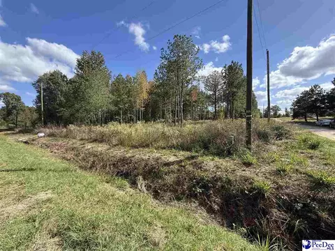 tbd Sherrill Rd, Wallace, SC 29596 photo 15