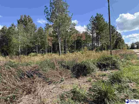 tbd Sherrill Rd, Wallace, SC 29596 photo 12
