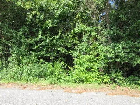 974 Meadowbrook Rd, Sumter, SC 29153 photo 5