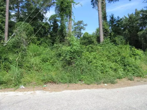 956 Meadowbrook Rd, Sumter, SC 29150 photo 2