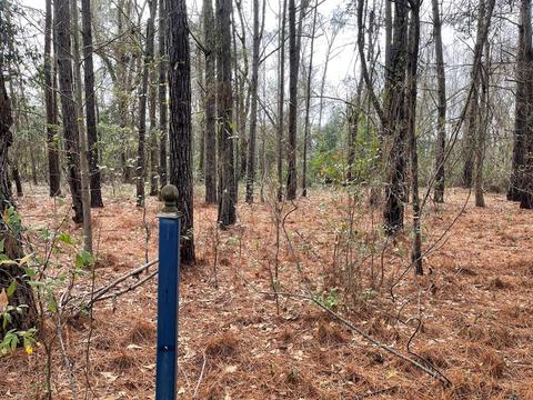 1075 Summit Dr, Sumter, SC 29150 photo 1