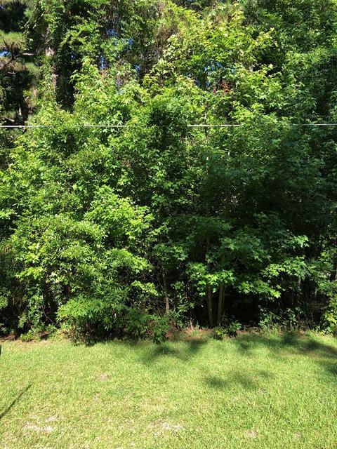 1292 Mooneyham Rd, Sumter, SC 29153 photo 1