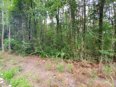 0 2nd Texas Rd, Saint George, SC 29477