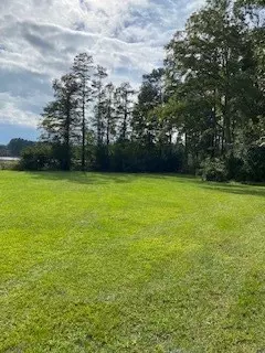 20 Saresden, Sumter, SC 29150 photo 4