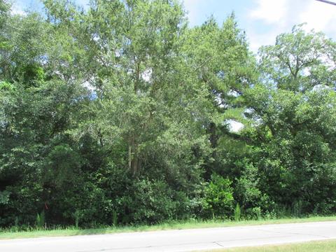 116 Brent St Vaughn, Sumter, SC 29150 photo 1