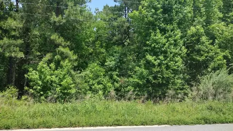 00 Lot1 Meagen Ln, Manning, SC 29102