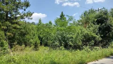 00 Lot2 Meagen Ln, Manning, SC 29102