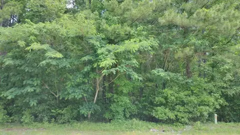 1321 Herod Dr, Manning, SC 29102
