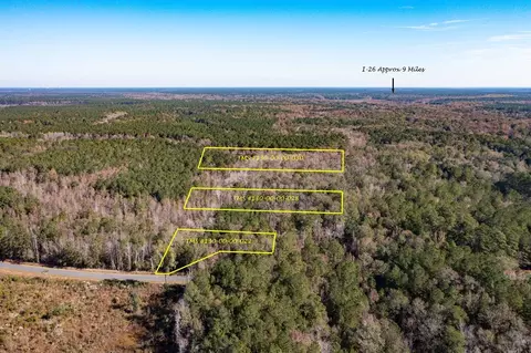 1 Dennis Britt Rd, Saint George, SC 29477