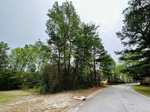 520 Mallard Dr, Sumter, SC 29150 photo 2