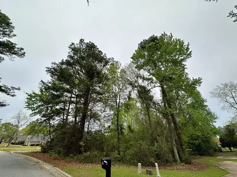 520 Mallard Dr, Sumter, SC 29150 photo 3