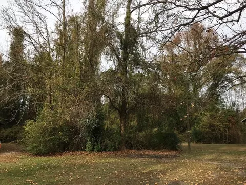 371 Curtis Dr, Sumter, SC 29153