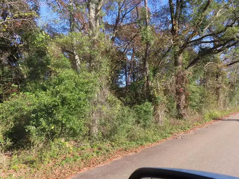 lot3 Graveyard Rock Rd, Santee, SC 29142