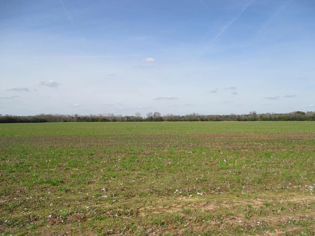 0 Camden Camden Hwyblack Riv Rd  