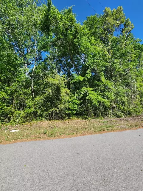 2395 Killdee, Sumter, SC 29154