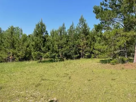 0 Old River Rd, Elloree, SC 29047