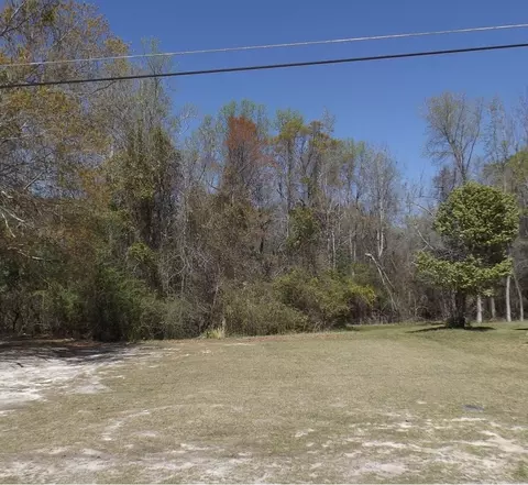 tbd Branchview St, Manning, SC 29102 photo 2