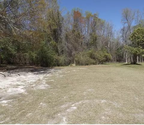 tbd Branchview St, Manning, SC 29102 photo 3