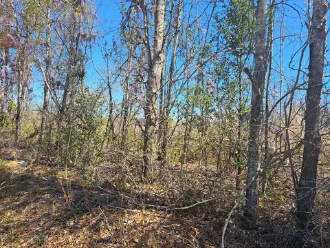 38-200 Lavel Rd, Santee, SC 29142 photo 3