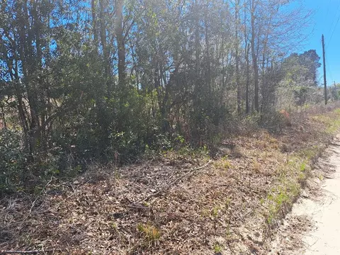 38-200 Lavel Rd, Santee, SC 29142 photo 2