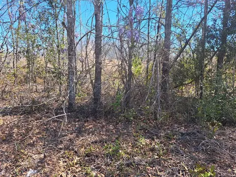 38-200 Lavel Rd, Santee, SC 29142