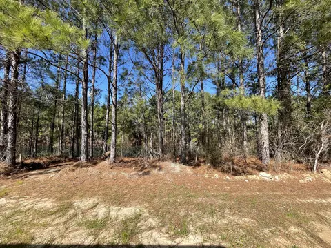 Exterior - 50 Lexington Ct, Sumter, SC 29154 photo 6 of 8
