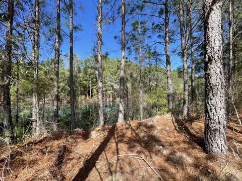 View/Area - 50 Lexington Ct, Sumter, SC 29154 photo 1 of 1