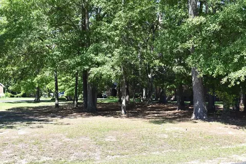 507 Oak Hill Dr, Manning, SC 29102
