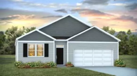 1100 Mulligan Dr, Manning, SC 29102