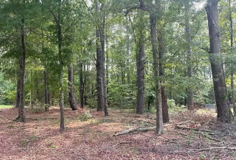 0 Gin Pond Dr, Summerton, SC 29048