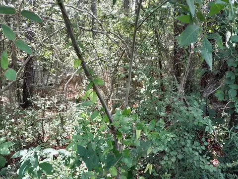 0 E Off Baron Dr W, Pineville, SC 99999