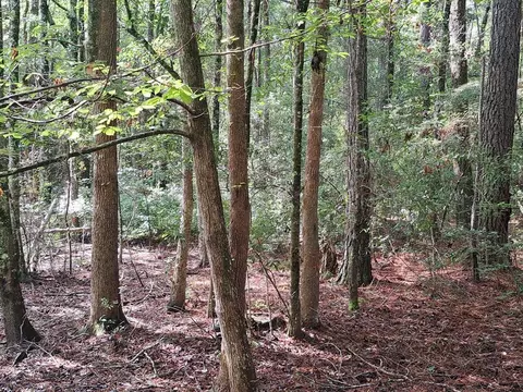 01 Forever Eclipse Ln, Cross, SC 29436 photo 3