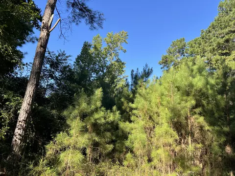 1060 Deer Trl, Santee, SC 29142
