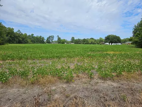 tbd Alice Myers Ln, Olanta, SC 29114