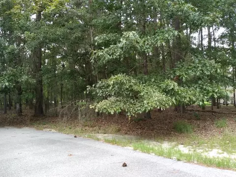 lot4 Lake Breeze, Elloree, SC 29047