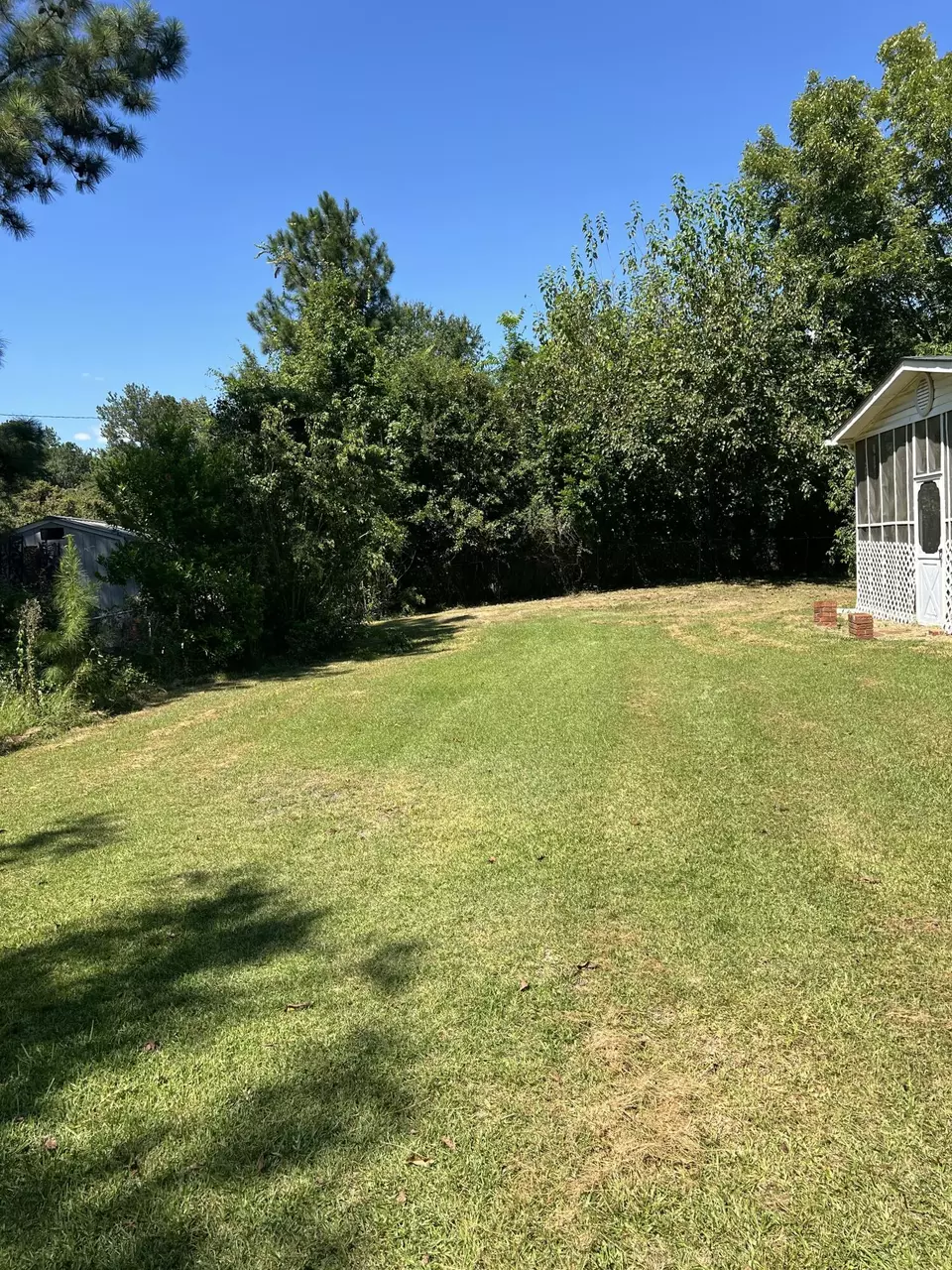 Exterior - 209 Peterson Ln, Manning, SC 29102 photo 6 of 7