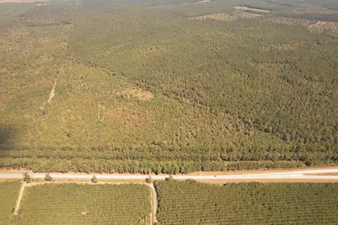 tbd Old Cc Camp Rd, Greeleyville, SC 29056