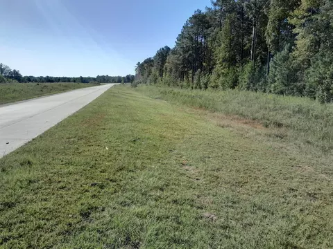 0 Ellexlee Rd, Santee, SC 29142 photo 2