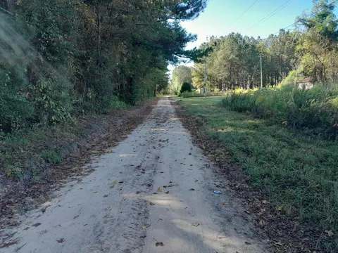 0 Ellexlee Rd, Santee, SC 29142 photo 3