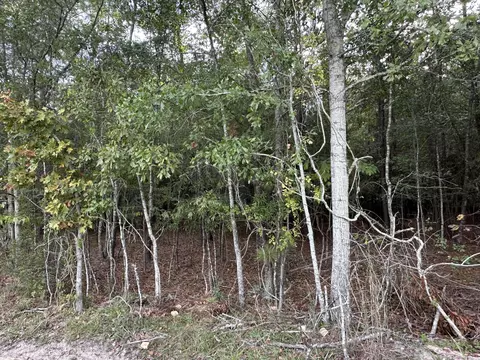 1212 Hudson, Summerton, SC 29148