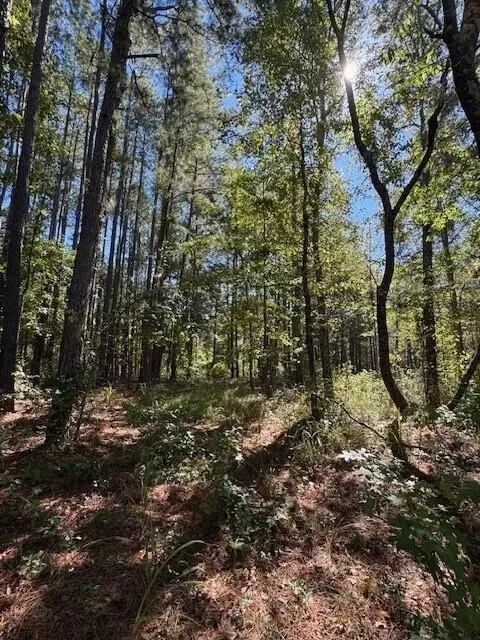 0 Poplar Creek Drive Lot #30, Elloree, SC 29047
