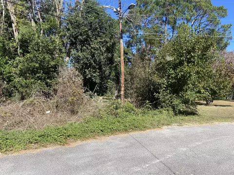 0 Jones Cir, Bishopville, SC 29010