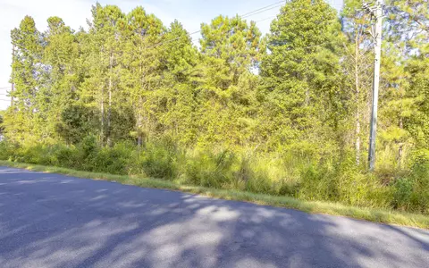 0 S Tbd S Locust Ave S, Denmark, SC 29042 photo 21