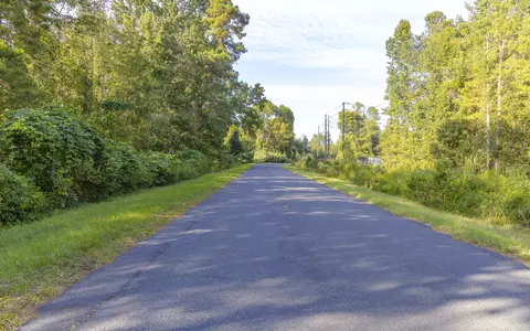 0 S Tbd S Locust Ave S, Denmark, SC 29042 photo 23
