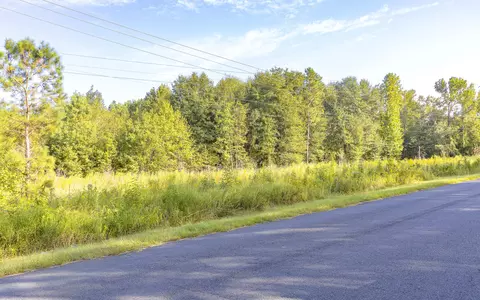 0 S Tbd S Locust Ave S, Denmark, SC 29042 photo 20