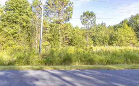 0 S Tbd S Locust Ave S, Denmark, SC 29042 photo 22