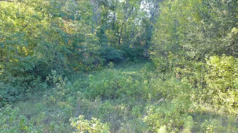 0 S Tbd S Locust Ave S, Denmark, SC 29042 photo 18