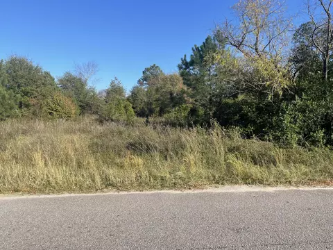 3845 Artesian Dr, Sumter, SC 29150 photo 4